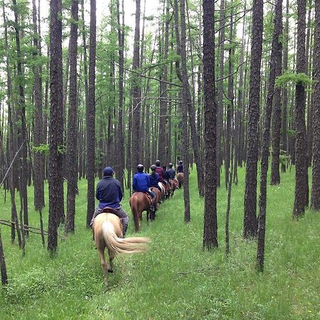 Nomad Horse Camp Guest House Nalayh Екстериор снимка