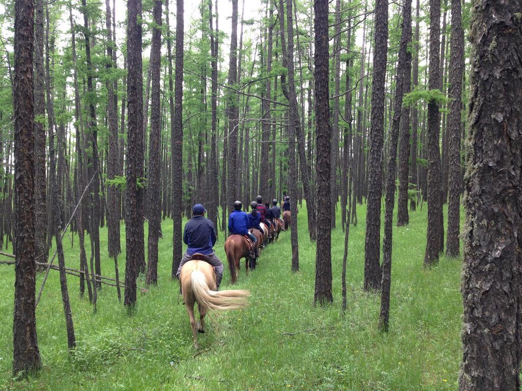 Nomad Horse Camp Guest House Nalayh Екстериор снимка