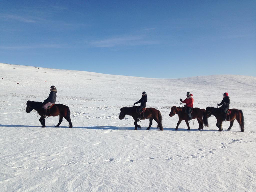 Nomad Horse Camp Guest House Nalayh Екстериор снимка