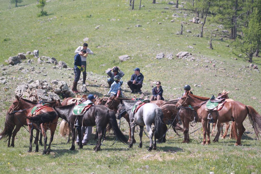 Nomad Horse Camp Guest House Nalayh Екстериор снимка
