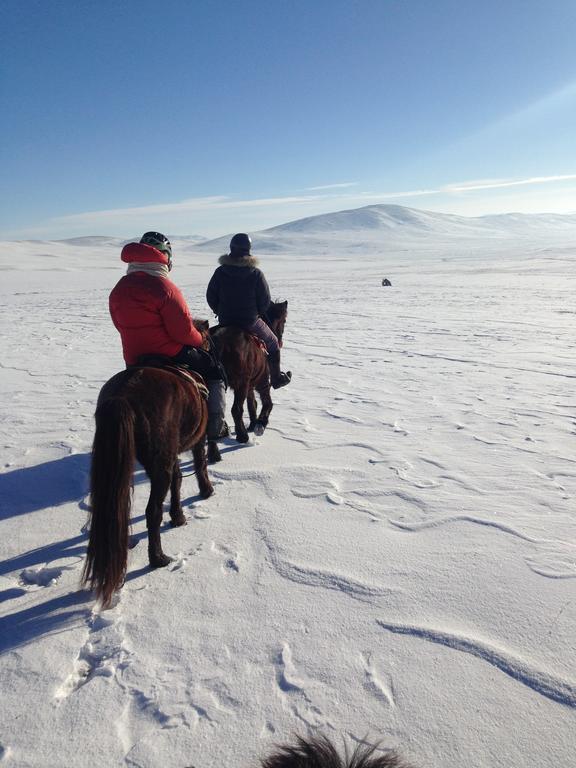 Nomad Horse Camp Guest House Nalayh Екстериор снимка